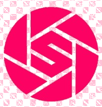 STYLA Logo